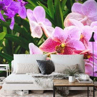 Tapete Bunte Orchideen 3D