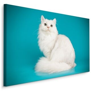 Leinwand Weiße Katze Auf Einem Blauen Hintergrund