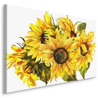 Leinwand Sonnenblume Wie Auf Weißem Hintergrund Gemalt