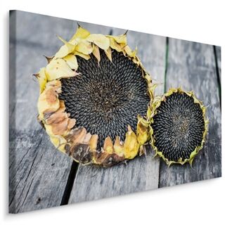 Segeltuch-Sonnenblumen auf einem Hintergrund von grauen Brettern