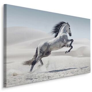 Leinwandbild Pferd In Der Wüste Leinwand N/A N/A 20x30