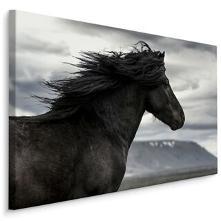 Leinwandbild Schwarzes Pferd Auf Einem Hintergrund Von Wolken Leinwand N/A N/A 20x30