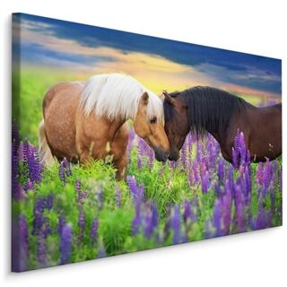 Leinwandbild Verliebte Pferde In Blumen Leinwand N/A N/A 20x30