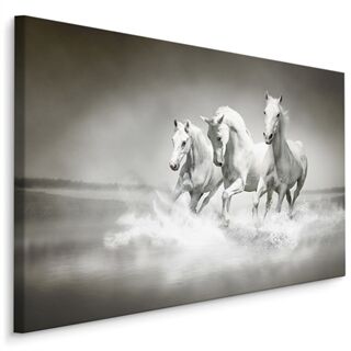 Leinwandbild Pferde In Schwarz Und Weiß Leinwand N/A N/A 20x30