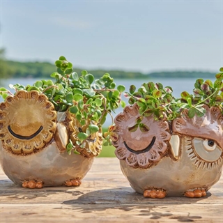 Blumentöpfe Blumentöpfe