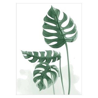 Poster mit grüner Monstera-Pflanze in schöner Aquarellmalerei