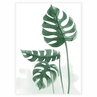 Poster mit grüner Monstera-Pflanze in schöner Aquarellmalerei