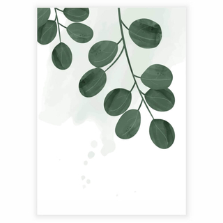 Poster mit Motiv aus runden Pflanzenblättern in Grün