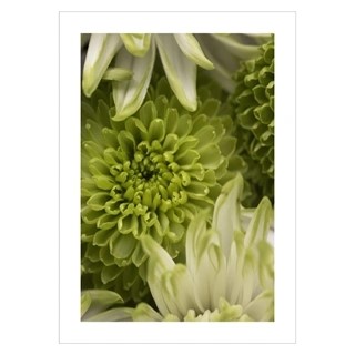 Poster mit einer Nahaufnahme von grünen Blumen