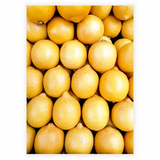 Poster - Zitronen