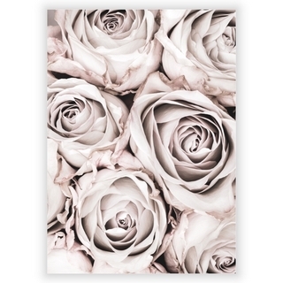 Poster mit grauer Rose