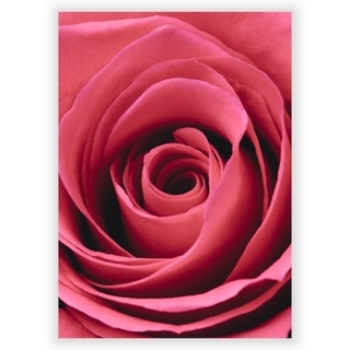 Poster mit roter Rose