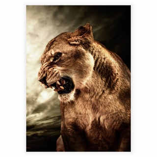 Poster mit Löwe