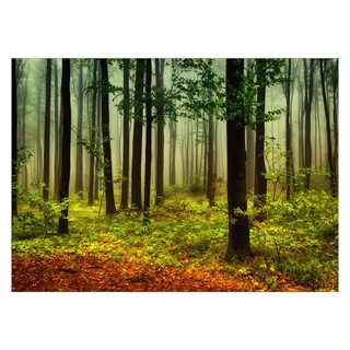 Poster mit dem Wald in Herbstfarben