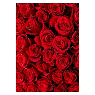 Poster mit roten Rosen