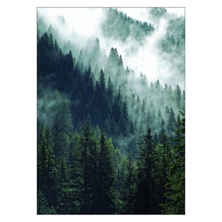 Poster mit Bergwald und Nebel