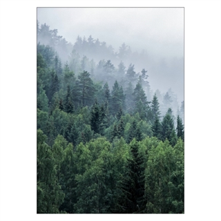 Poster mit Bäumen auf dem Berg mit Nebel