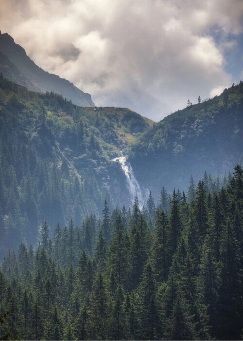 Poster mit Bäumen auf dem Berg mit Wasserfall