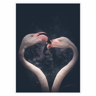 Poster - Flamingopaar