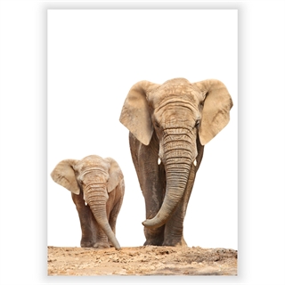 Poster mit Elefantenmutter und Kleinkind der afrikanischen Familie